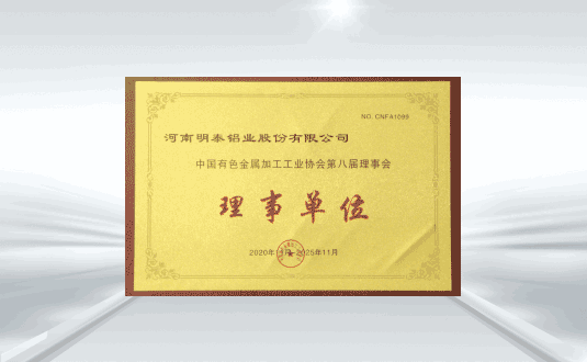 中國有色金屬加工工業(yè)協(xié)會(huì)第八屆理事會(huì)