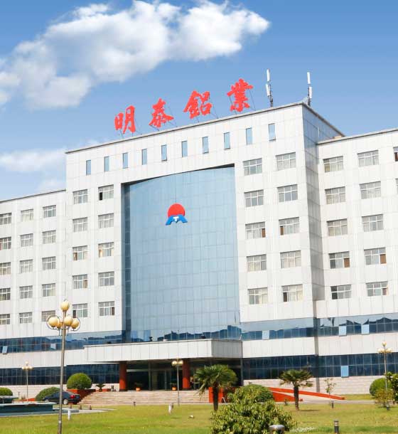 企業愿景